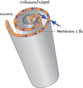 การไหลของน้ำใน Membrane