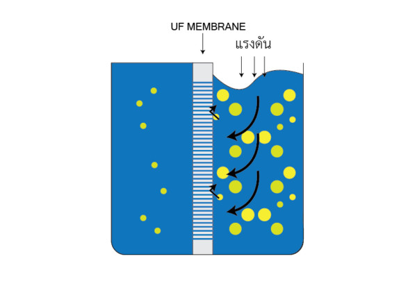 รูปแบบการไหลของน้ำในระบบ อัลตราฟิลเตรชัน ระบบ UF